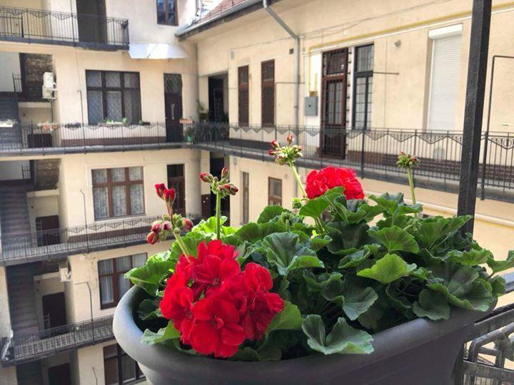 Dolce Vita Rumbach Aparthotel Budapest